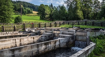KochArt_FischzuchtTrixl_Fieberbrunn_2016@KurtTropper-0493