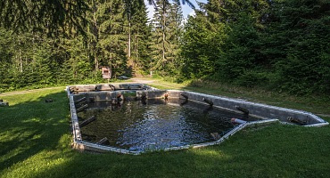 KochArt_FischzuchtTrixl_Fieberbrunn_2016@KurtTropper-0571