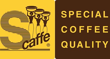 S-caffe special coffee quality(3)